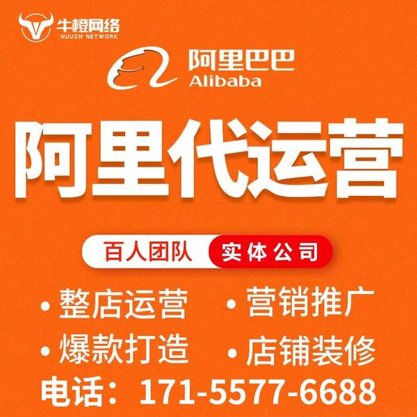 中山电商代运营
