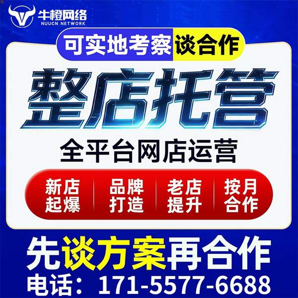 中山电商代运营