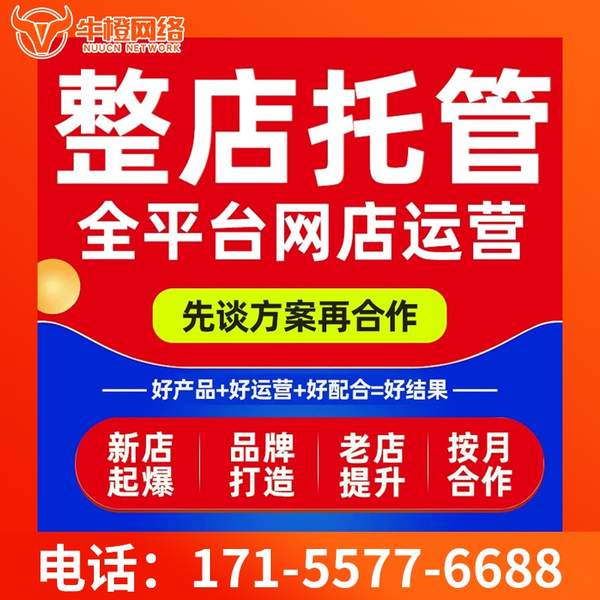 中山电商代运营