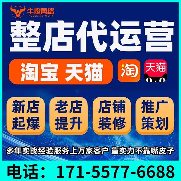 中山电商代运营