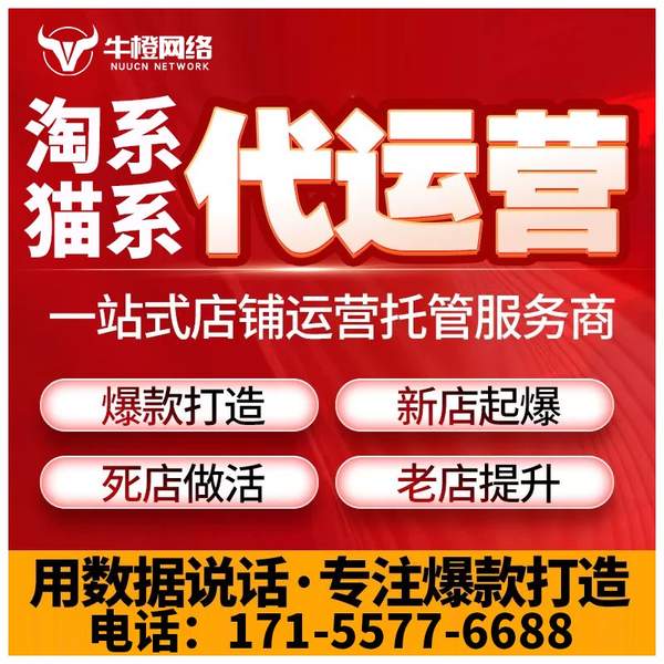 中山电商代运营